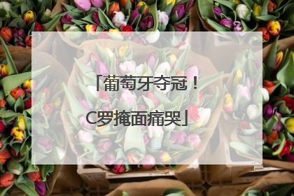 葡萄牙夺冠！C罗掩面痛哭