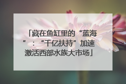 藏在鱼缸里的“蓝海”：“千亿扶持”加速激活西部水族大市场