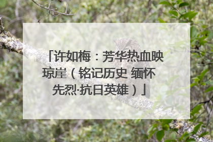 许如梅：芳华热血映琼崖（铭记历史 缅怀先烈·抗日英雄）