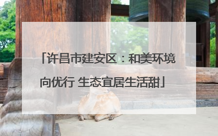 许昌市建安区：和美环境向优行 生态宜居生活甜