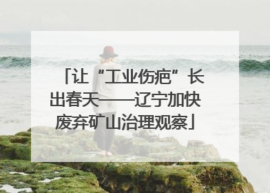 让“工业伤疤”长出春天——辽宁加快废弃矿山治理观察