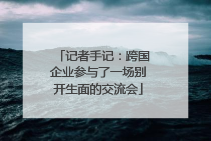 记者手记：跨国企业参与了一场别开生面的交流会