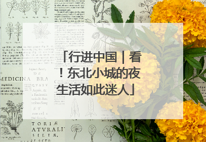 行进中国｜看！东北小城的夜生活如此迷人