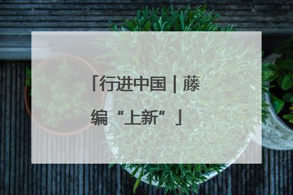行进中国｜藤编“上新”