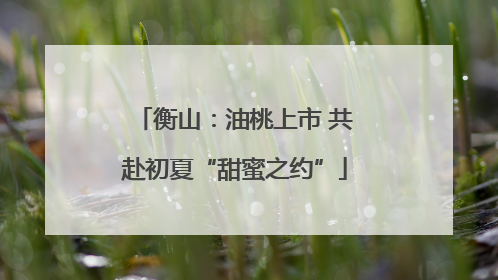 衡山：油桃上市 共赴初夏“甜蜜之约”