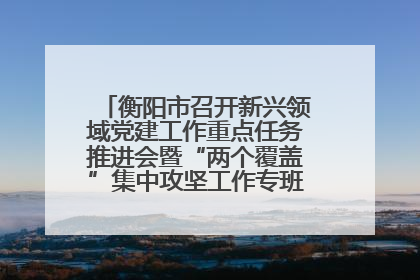 衡阳市召开新兴领域党建工作重点任务推进会暨“两个覆盖”集中攻坚工作专班 第一次会议