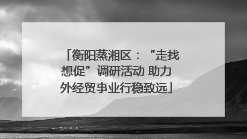 衡阳蒸湘区：“走找想促”调研活动 助力外经贸事业行稳致远