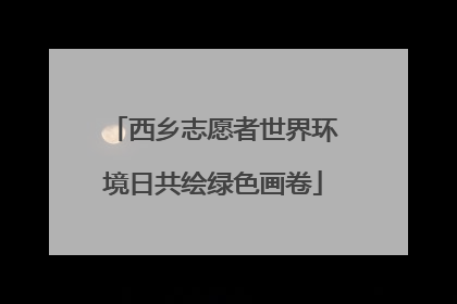 西乡志愿者世界环境日共绘绿色画卷