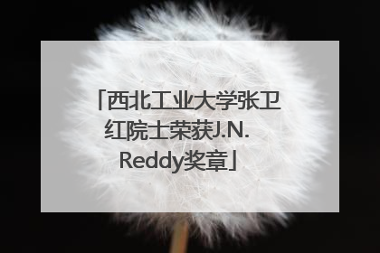 西北工业大学张卫红院士荣获J.N.Reddy奖章