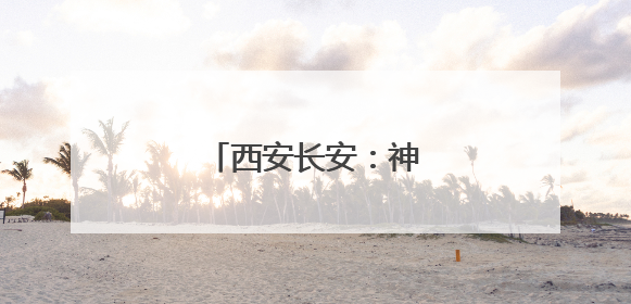 西安长安：神禾塬上麦收忙