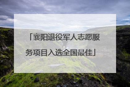 襄阳退役军人志愿服务项目入选全国最佳
