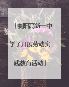 襄阳高新一中学子开展劳动实践教育活动