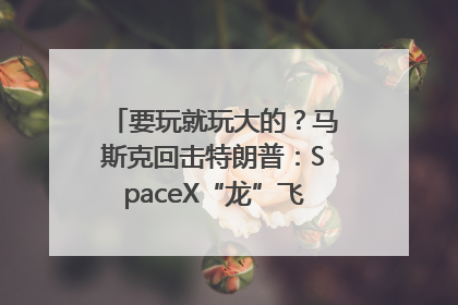 要玩就玩大的？马斯克回击特朗普：SpaceX“龙”飞船将立即退役！