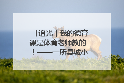 追光｜我的德育课是体育老师教的！——一所县城小学的思政课改革