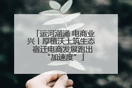 运河潮涌 电商业兴丨厚植沃土筑生态 宿迁电商发展跑出“加速度”