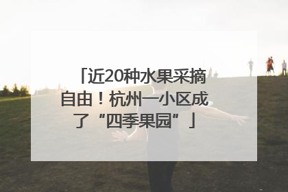 近20种水果采摘自由！杭州一小区成了“四季果园”