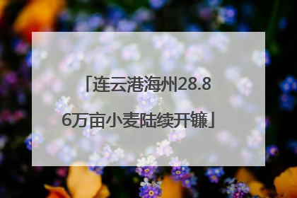 连云港海州28.86万亩小麦陆续开镰