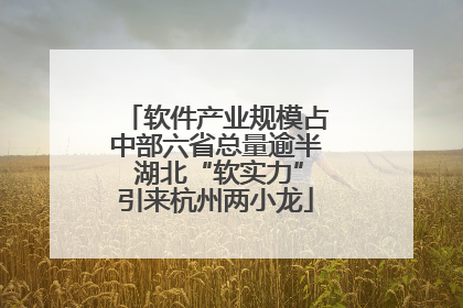 软件产业规模占中部六省总量逾半 湖北“软实力”引来杭州两小龙