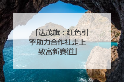 达茂旗：红色引擎助力合作社走上致富新赛道