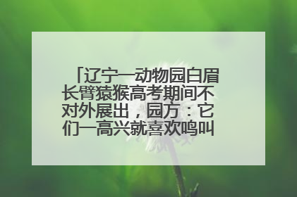 辽宁一动物园白眉长臂猿猴高考期间不对外展出，园方：它们一高兴就喜欢鸣叫，怕影响考试