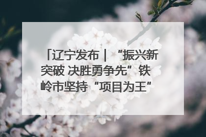 辽宁发布｜“振兴新突破 决胜勇争先”铁岭市坚持“项目为王”推进经济高质量发展