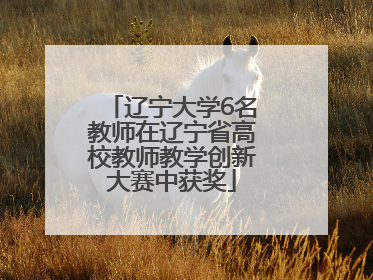 辽宁大学6名教师在辽宁省高校教师教学创新大赛中获奖