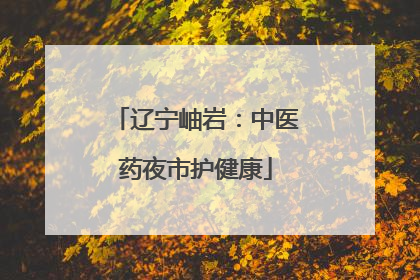 辽宁岫岩：中医药夜市护健康
