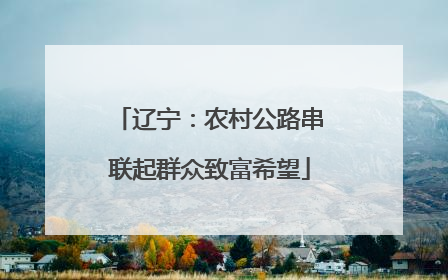 辽宁：农村公路串联起群众致富希望