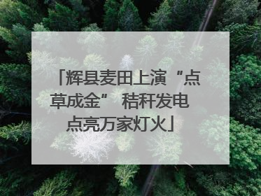 辉县麦田上演“点草成金” 秸秆发电点亮万家灯火