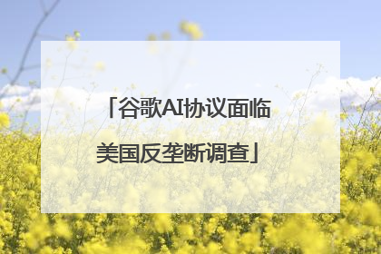 谷歌AI协议面临美国反垄断调查