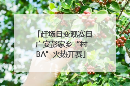 赶场日变观赛日 广安彭家乡“村BA”火热开赛