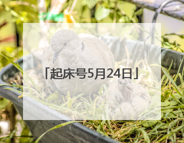 起床号5月24日