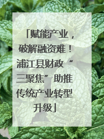 赋能产业，破解融资难！浦江县财政“三聚焦”助推传统产业转型升级