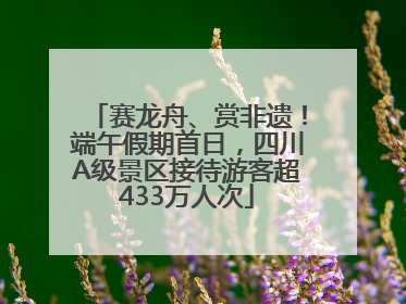 赛龙舟、赏非遗！端午假期首日，四川A级景区接待游客超433万人次