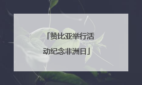 赞比亚举行活动纪念非洲日