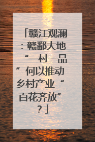 赣江观澜：赣鄱大地“一村一品”何以推动乡村产业“百花齐放”？
