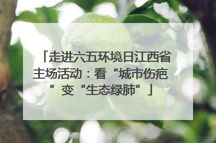 走进六五环境日江西省主场活动：看“城市伤疤”变“生态绿肺”
