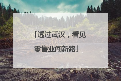 透过武汉，看见零售业闯新路