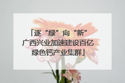 逐“绿”向“新” 广西兴业加速建设百亿绿色钙产业集群