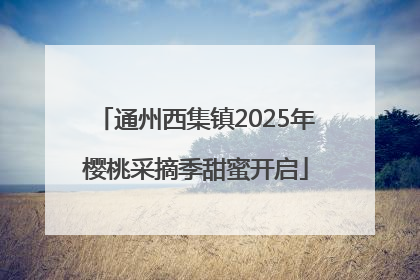 通州西集镇2025年樱桃采摘季甜蜜开启