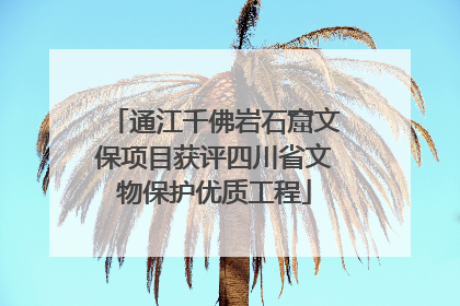 通江千佛岩石窟文保项目获评四川省文物保护优质工程