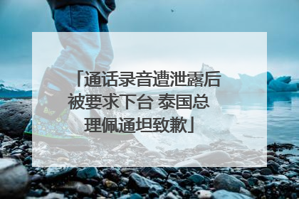 通话录音遭泄露后被要求下台 泰国总理佩通坦致歉