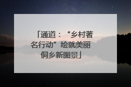通道：“乡村著名行动”绘就美丽侗乡新图景