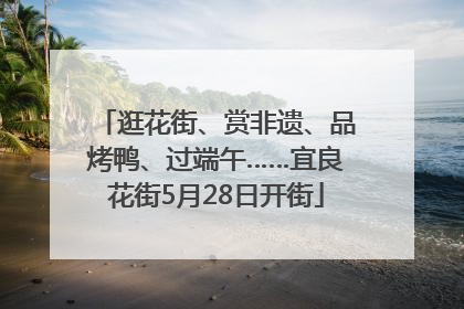 逛花街、赏非遗、品烤鸭、过端午……宜良花街5月28日开街