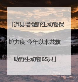 道县增强野生动物保护力度 今年以来共救助野生动物65只