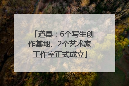 道县：6个写生创作基地、2个艺术家工作室正式成立
