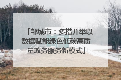 邹城市：多措并举以数据赋能绿色低碳高质量政务服务新模式