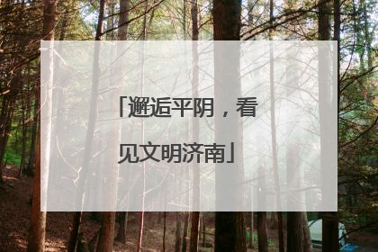 邂逅平阴，看见文明济南