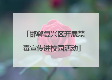 邯郸复兴区开展禁毒宣传进校园活动