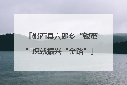 郧西县六郎乡“银茧”织就振兴“金路”